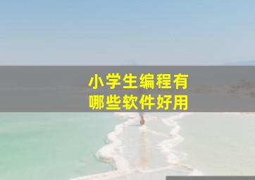 小学生编程有哪些软件好用