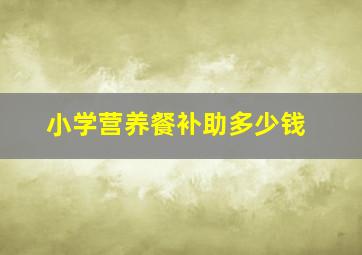 小学营养餐补助多少钱