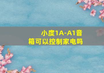 小度1A-A1音箱可以控制家电吗