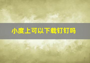 小度上可以下载钉钉吗