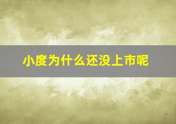 小度为什么还没上市呢