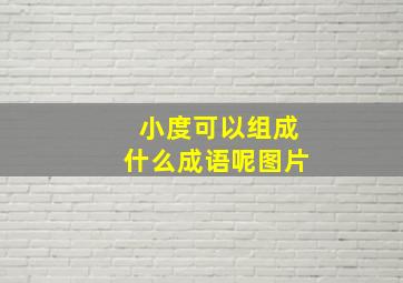 小度可以组成什么成语呢图片