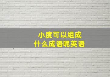 小度可以组成什么成语呢英语