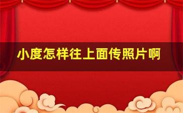 小度怎样往上面传照片啊