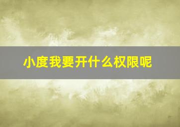 小度我要开什么权限呢