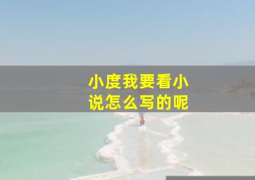 小度我要看小说怎么写的呢