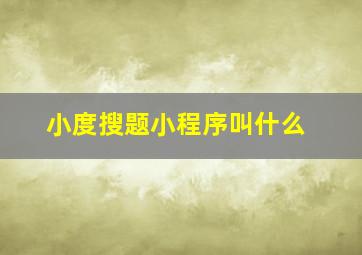 小度搜题小程序叫什么