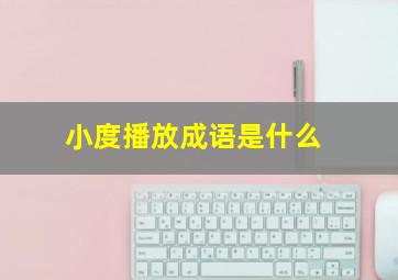 小度播放成语是什么