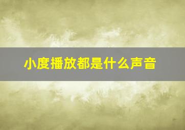 小度播放都是什么声音