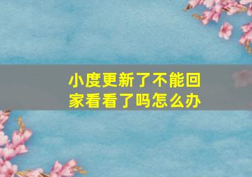 小度更新了不能回家看看了吗怎么办