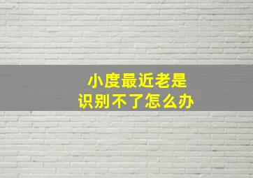 小度最近老是识别不了怎么办