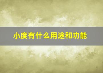 小度有什么用途和功能