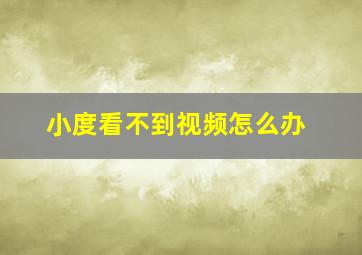 小度看不到视频怎么办