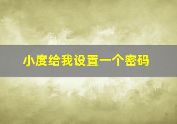 小度给我设置一个密码