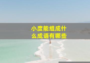 小度能组成什么成语有哪些