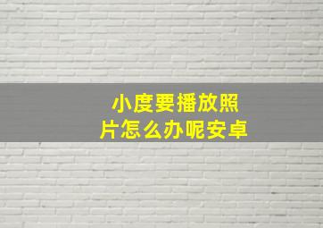 小度要播放照片怎么办呢安卓