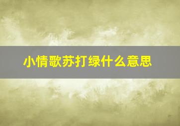 小情歌苏打绿什么意思