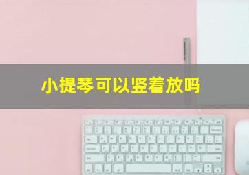 小提琴可以竖着放吗