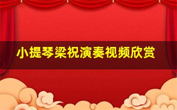 小提琴梁祝演奏视频欣赏