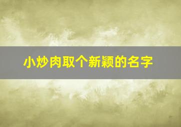 小炒肉取个新颖的名字