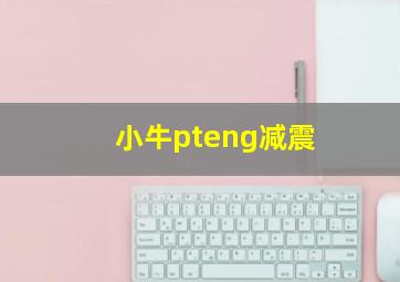 小牛pteng减震