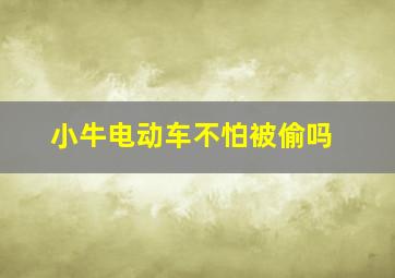 小牛电动车不怕被偷吗