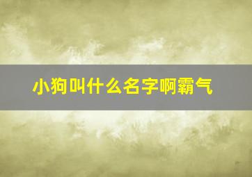 小狗叫什么名字啊霸气