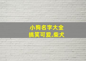 小狗名字大全搞笑可爱,柴犬