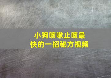 小狗咳嗽止咳最快的一招秘方视频