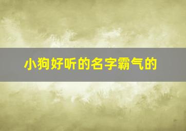 小狗好听的名字霸气的