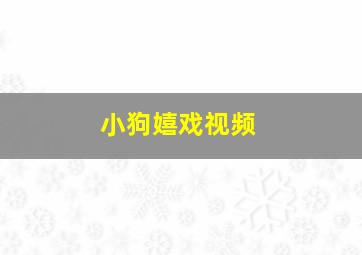 小狗嬉戏视频