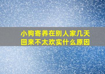 小狗寄养在别人家几天回来不太欢实什么原因