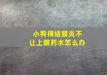 小狗得结膜炎不让上眼药水怎么办