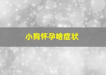 小狗怀孕啥症状