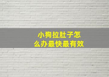 小狗拉肚子怎么办最快最有效