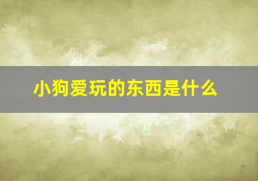 小狗爱玩的东西是什么