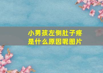 小男孩左侧肚子疼是什么原因呢图片