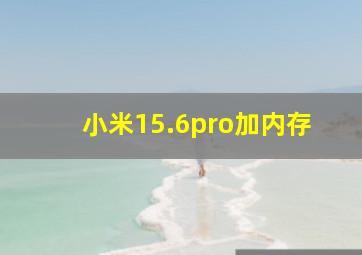 小米15.6pro加内存