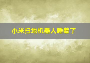 小米扫地机器人睡着了