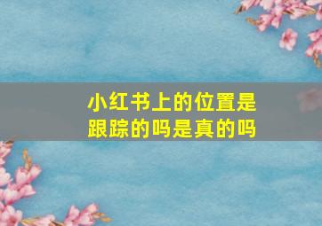 小红书上的位置是跟踪的吗是真的吗