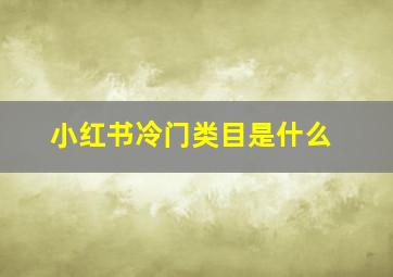 小红书冷门类目是什么