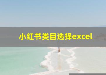 小红书类目选择excel