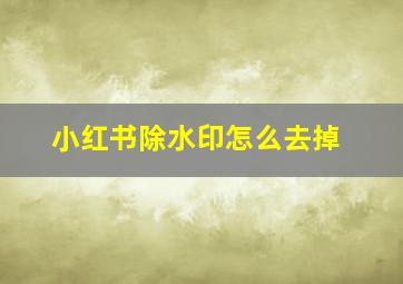 小红书除水印怎么去掉