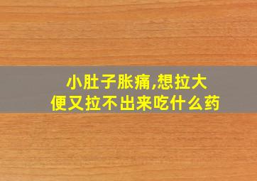 小肚子胀痛,想拉大便又拉不出来吃什么药