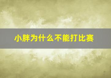 小胖为什么不能打比赛