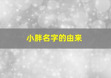 小胖名字的由来