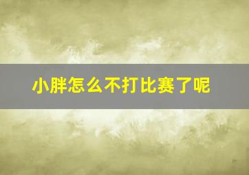 小胖怎么不打比赛了呢