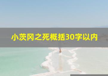 小茨冈之死概括30字以内