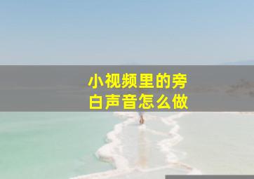 小视频里的旁白声音怎么做