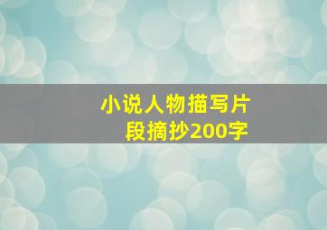 小说人物描写片段摘抄200字